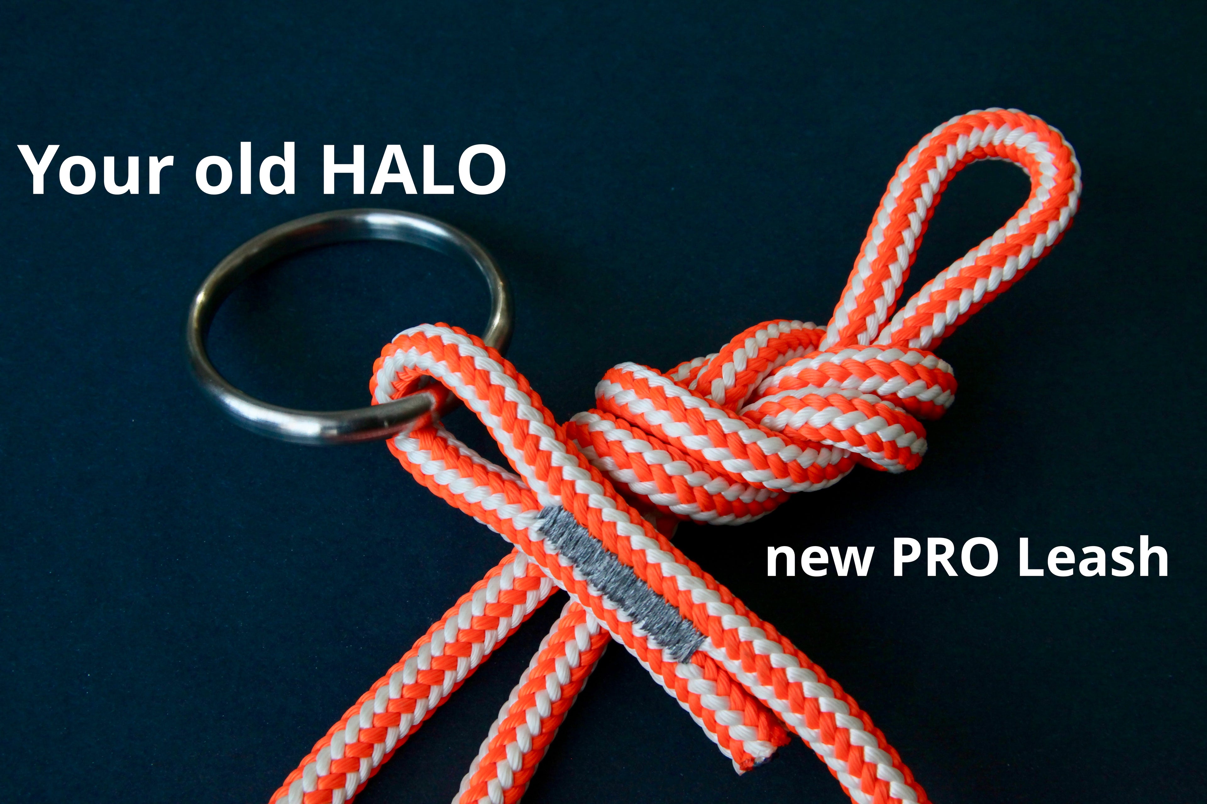 Leash Resewing Service