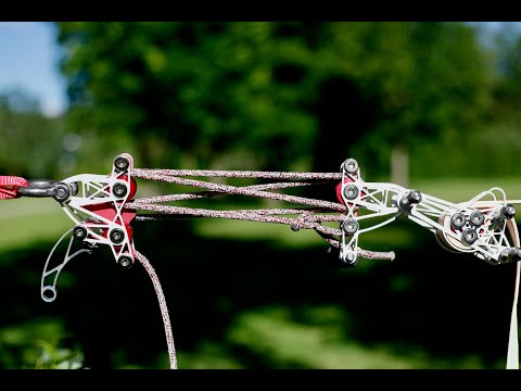 BLNC 5:1 pulley system