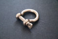 Omega Stainless Steel Shackle 12mm