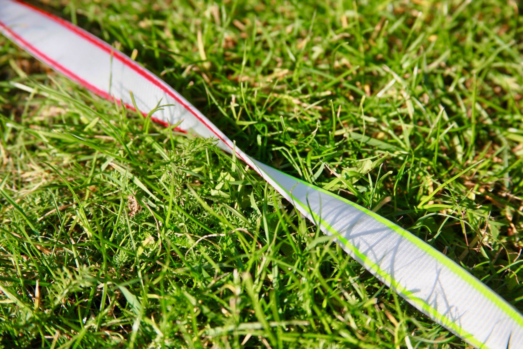 Rainbow - Polyester Highline Webbing