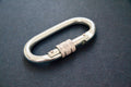 Oval Steel Carabiner